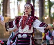 Димитричка